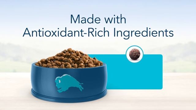 Blue Buffalo Life Protection Formula Adult Chicken & Brown Rice Recipe | PuppySimply