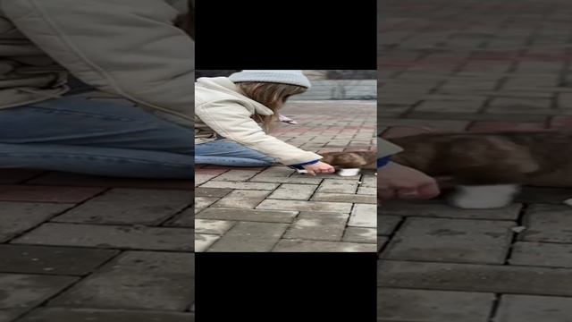 1000394408.mp4