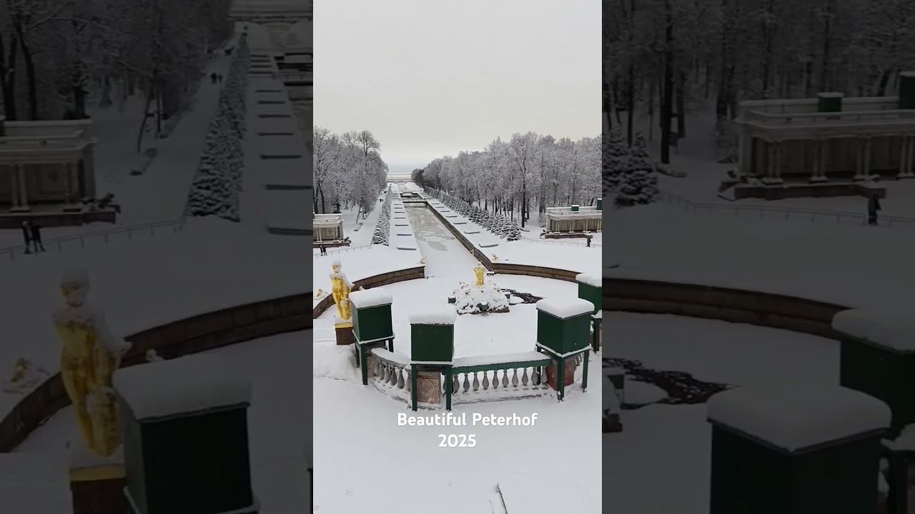 11 января 2025 г.