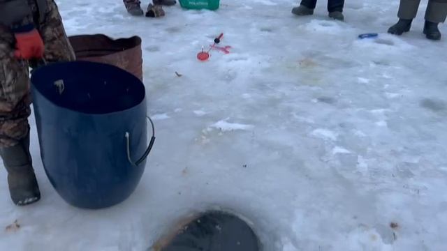 16.01.25 г. РК Волна
