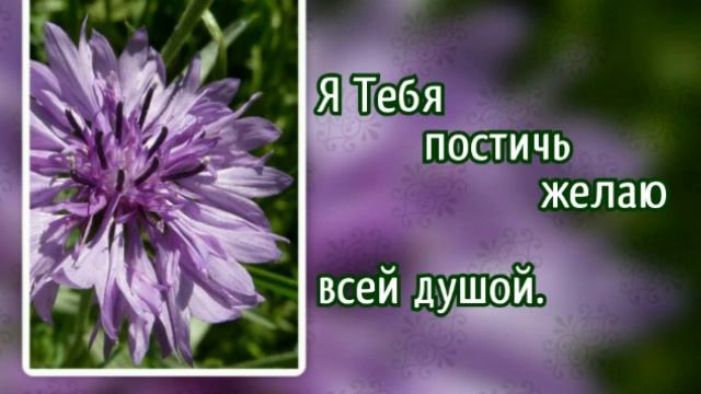 216 Быть Твоим хочу, Спаситель (-)