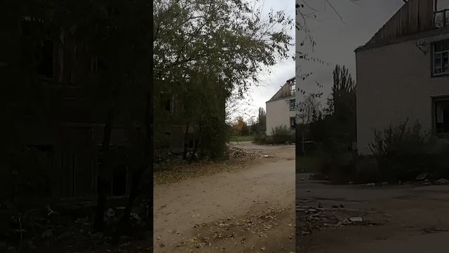 типичный Волгоград. 11ноября2022