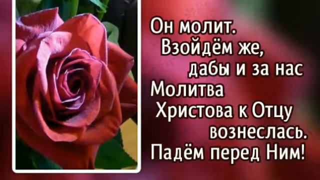 364 Взойдём на Голгофу, мой брат! (-)