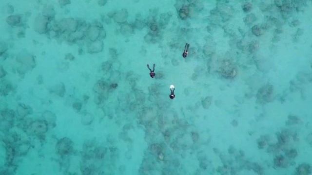 DJI Mini 2 - 4K Sample Footage | No Filter & No Color Grading