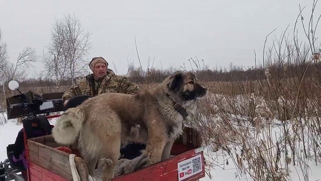 16 января 2025 г.