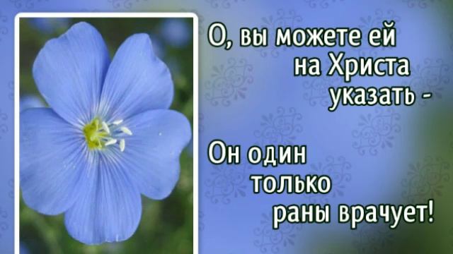 369 Больше, больше любви (-)