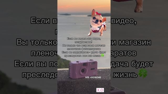 Больше пленки, фотоаппаратов и аксессуаров ищите в наших магазинах на Wildberries и Ozon! 📷🌟