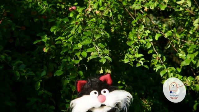 Филипп Корд. Песня кота. Видео из кинопроб