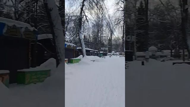 VID-20250116-WA0030