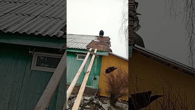 Кровельные работы