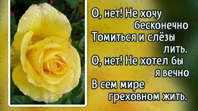 206 Нет счастья в долине печали (-)