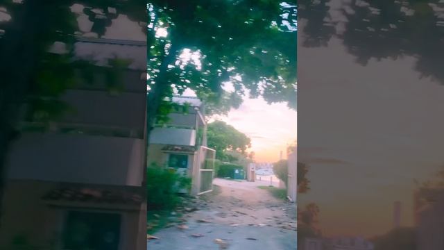 15-01-2025. Пуэрто Авентурас.