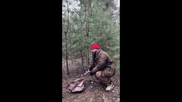 Зимой собираю грибы жми на 🚀