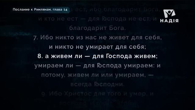 14.Можно есть всё