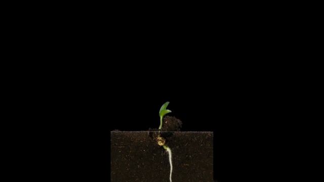 Анализ успехов и неудач – ключ к вашему росту