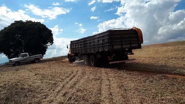 (Muriçoca) Mercedes-Benz 1317 Saindo carregado de Soja