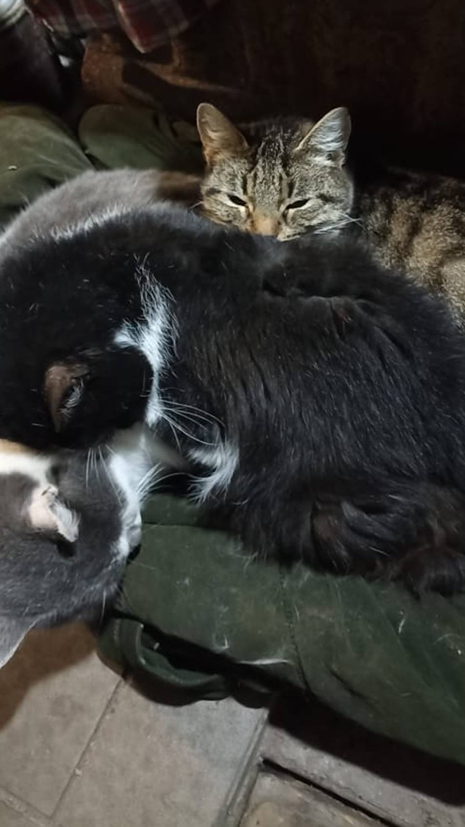 После школы