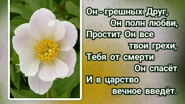 229 Прохожий у дверей стоит (-)