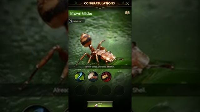 The Ants - Underground Kingdom -  (Android, iOS) Part 19 - Advanced Hatch (240p)