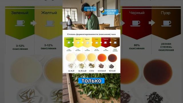 ЭТО НУЖНО ЗНАТЬ о чае 🍵 #чай #интересное #факты #рек #рекомендации #пп #зож #здоровье