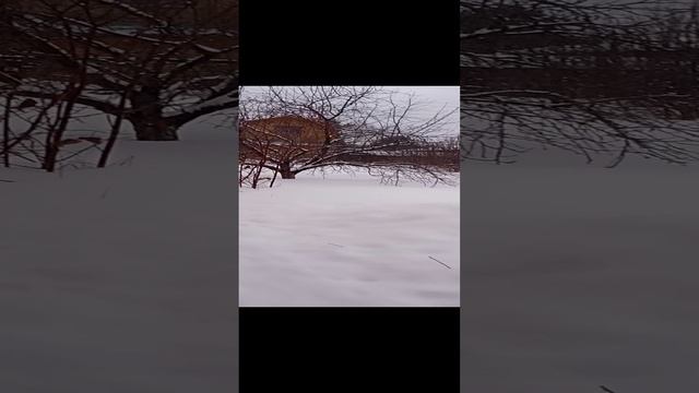 микс пушкин