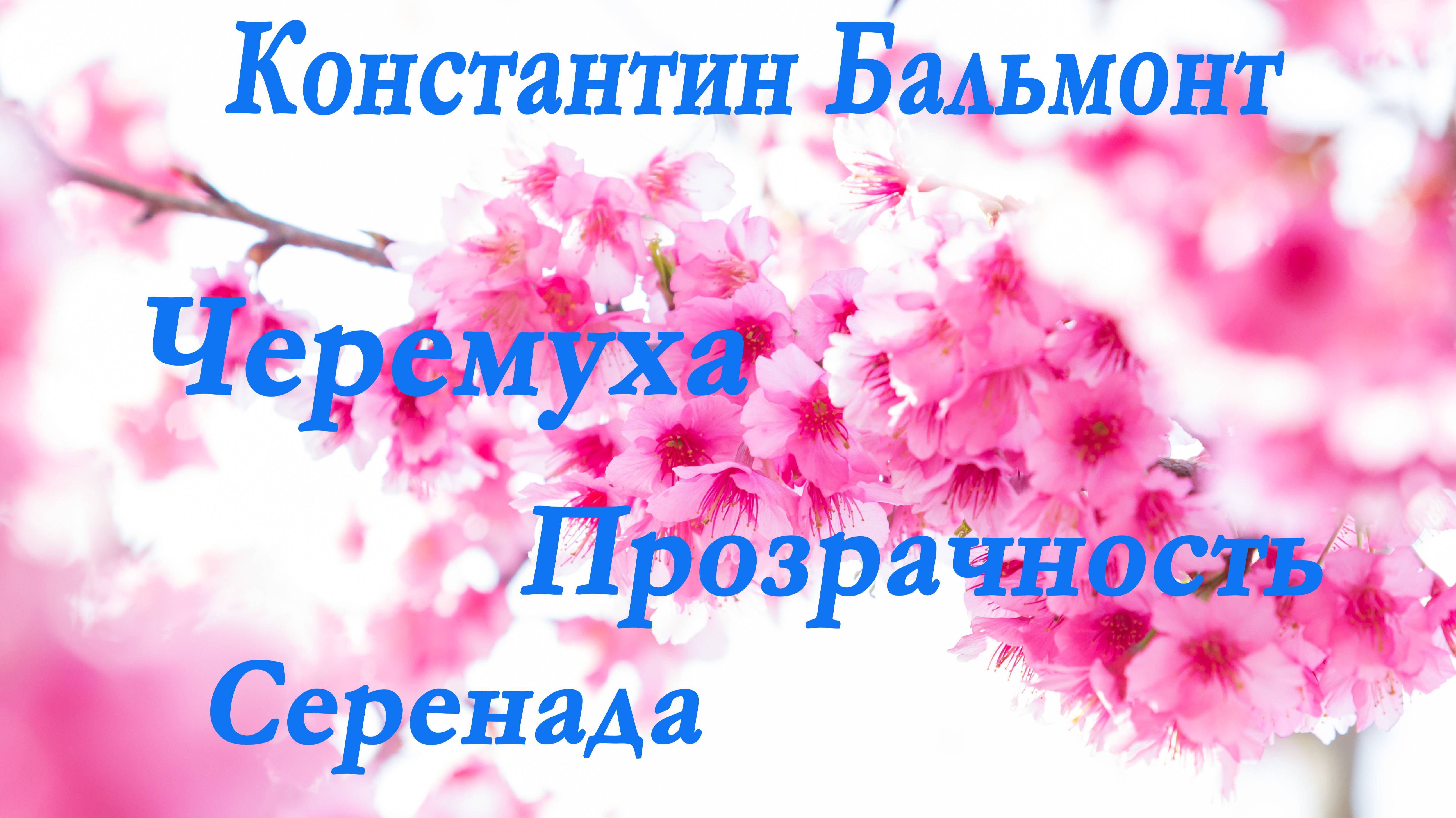 Константин Бальмонт - Черемуха.Прозрачность.Серенада. Стихи