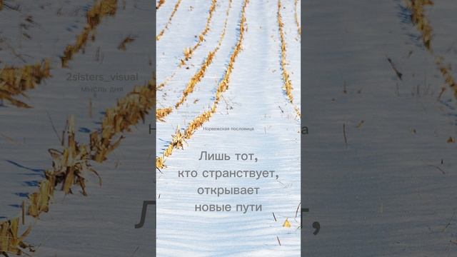 Цитата дня