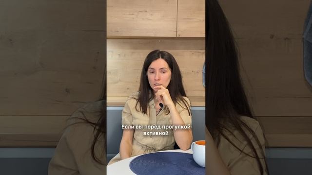 Почему нельзя кормить собаку перед прогулкой.