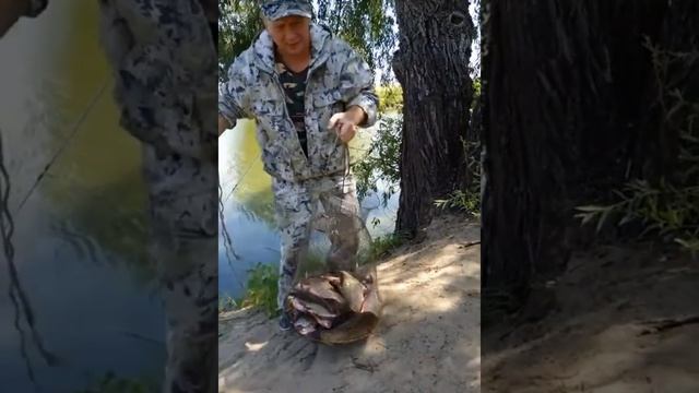 хроника 2017.Ленинская пойма. Ерик Кудаевский.