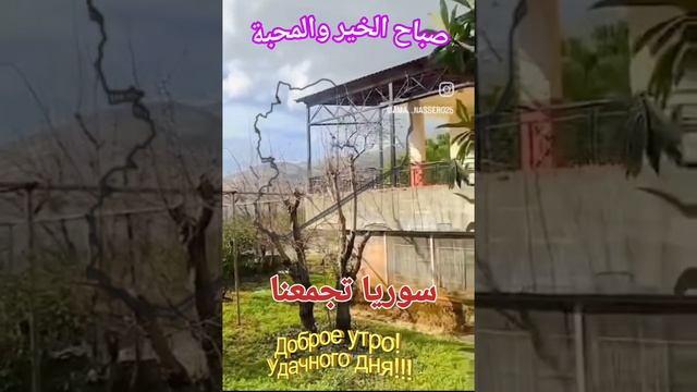 سوريا تجمعنا يارب.