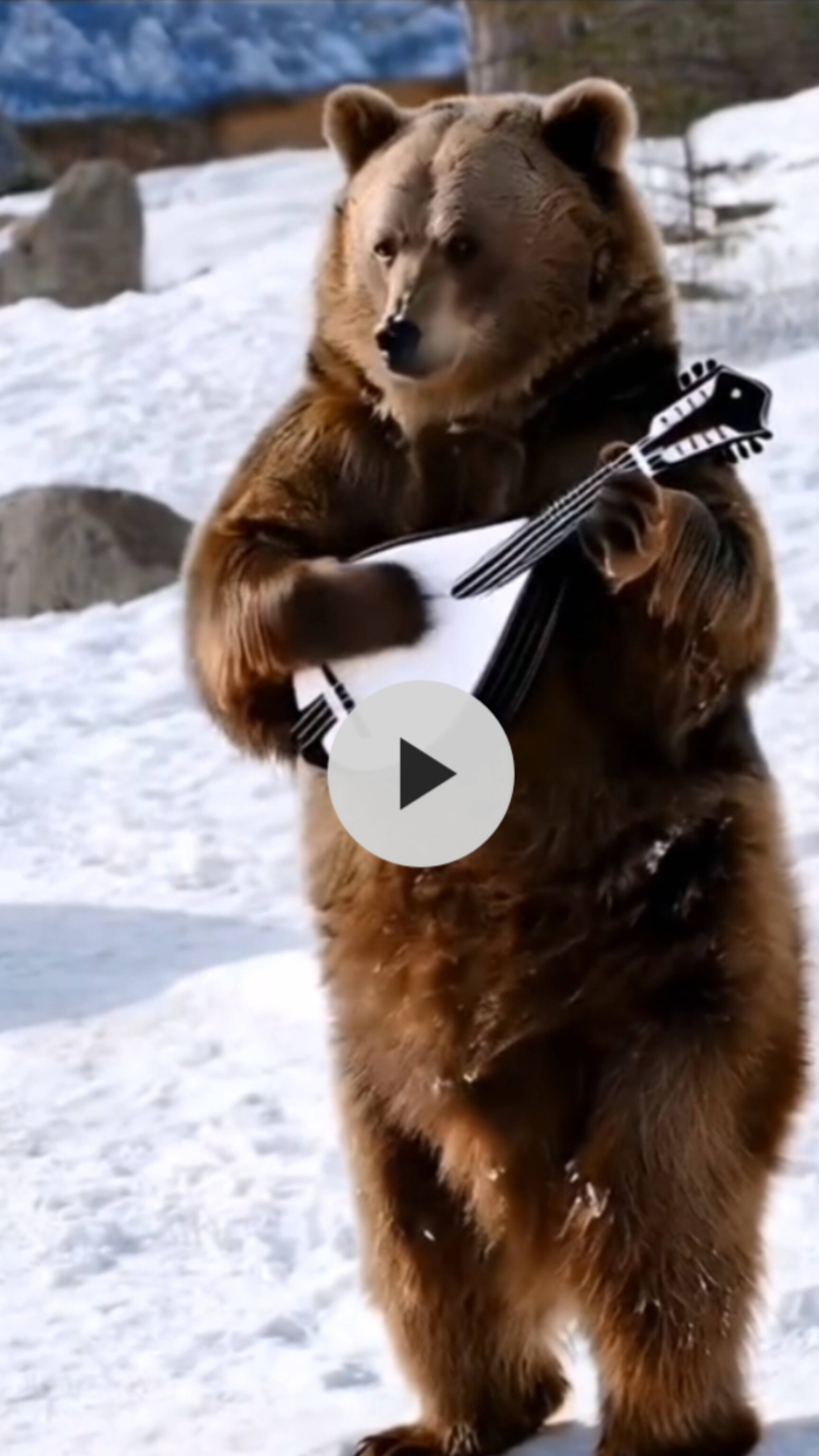 Нейроживотные