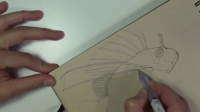 DYNAMIC SKETCHING FISH