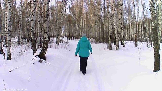 Наш пеший мини поход в зимний лес