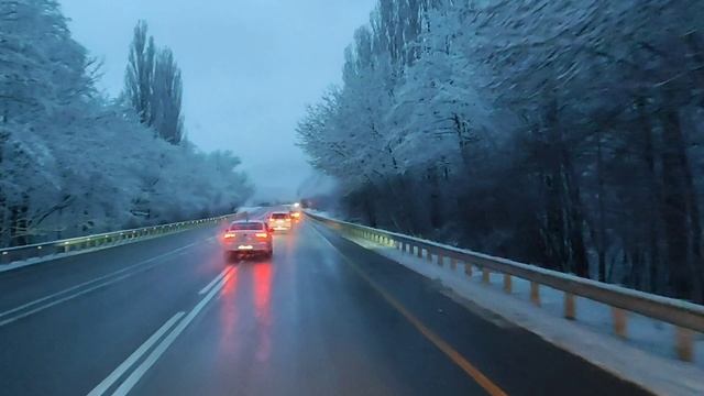 Зимнее Краснодарское утро.16.01.25.