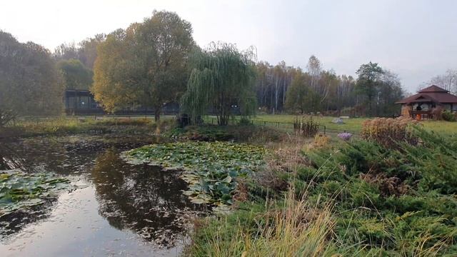 Парк птиц ВОРОБЬИ. Огромный уникальный парк в Калужской области.