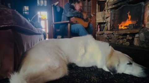 Neil Young - "Pardon My Heart" live - видео