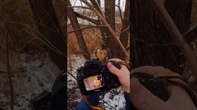 backstage с фотосъемки 📸