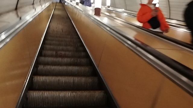 48 день, квадрицепсы прокачка на эскалаторе