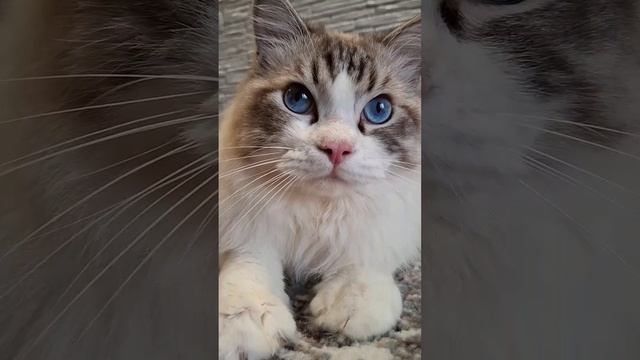 1000107299.mp4