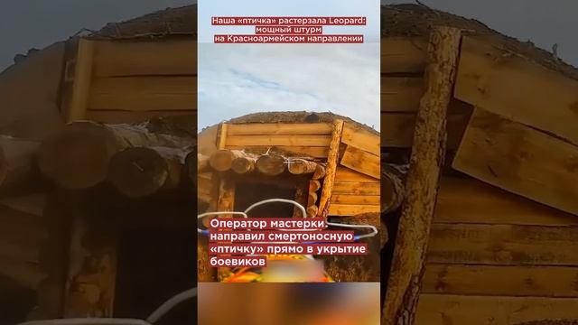 Наша «птичка» растерзала Leopard: мощный штурм на Красноармейском направлении