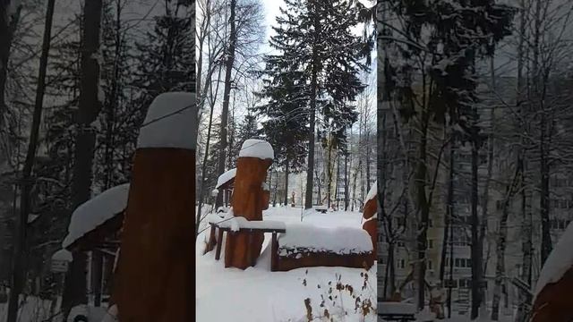 VID-20250116-WA0010