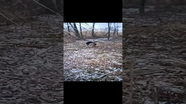 1000037996.mp4