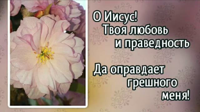268 О Иисус, к Тебе приходим верою (-)