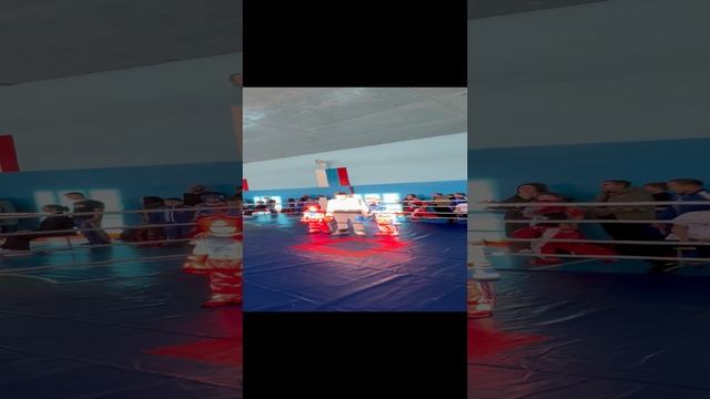 Кикибоксинг г. Омск