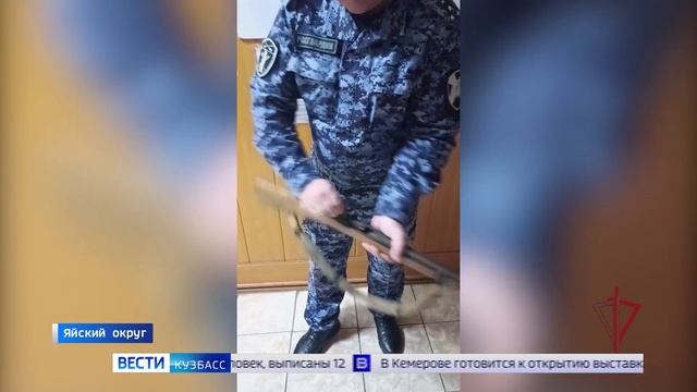 Ограбление ювелирного и незаконная заготовка елей: сводка происшествий по Кузбассу