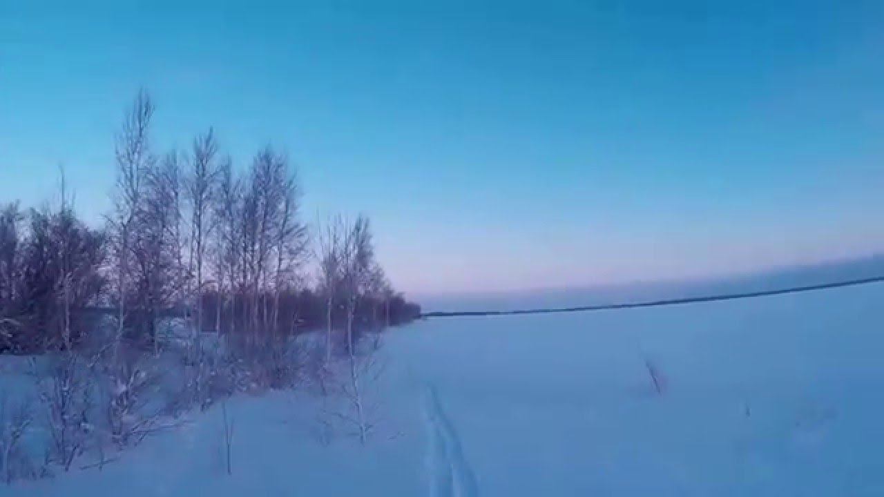 Охота на зайца  07.01.16 №6
