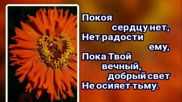 211 Когда Тобой пленён (-)