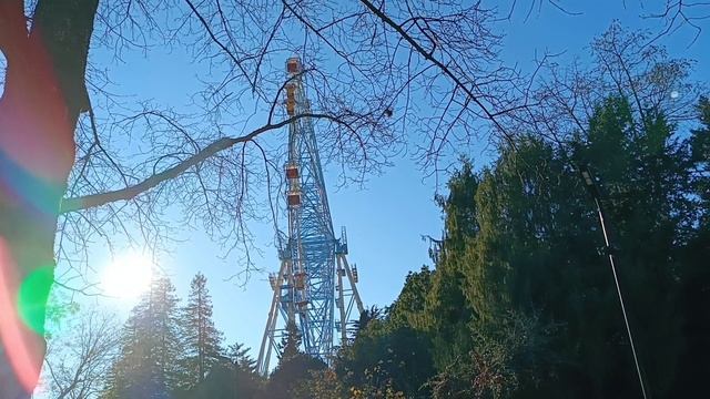 Сочи. Зоопарк. Лазаревское. Переезд в Адлер