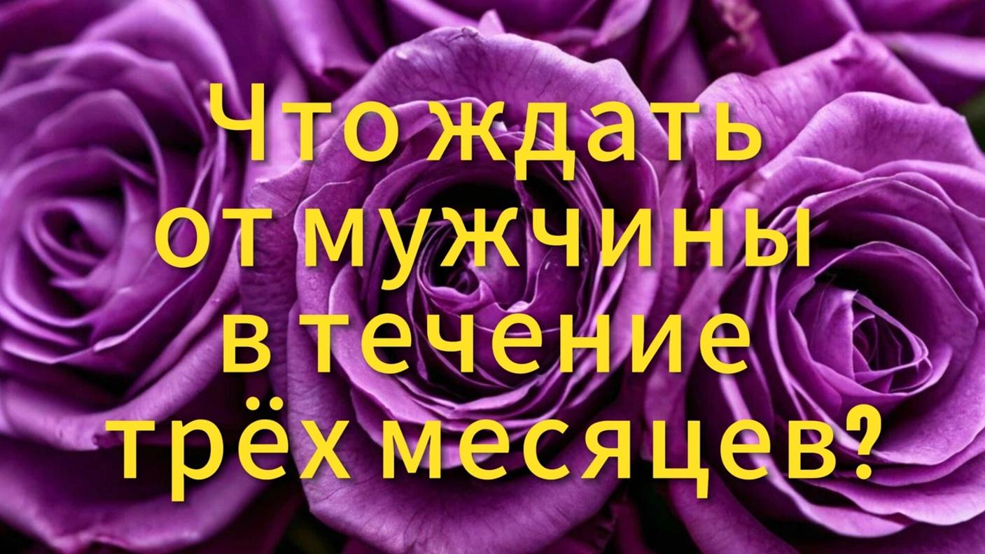 Что ждать от мужчины в течение трёх месяцев?