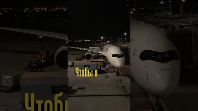 Зачем нужен второй загранпаспорт